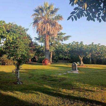 Apartments Karpetis a green paradise Psakoudia Buitenkant foto