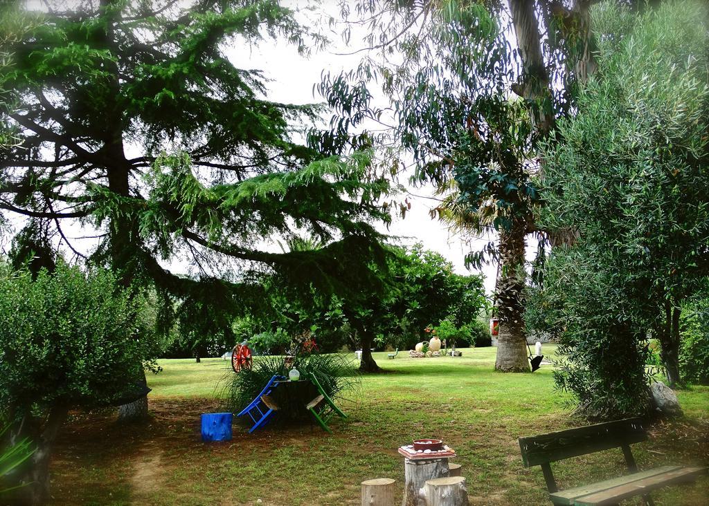 Apartments Karpetis a green paradise Psakoudia Buitenkant foto