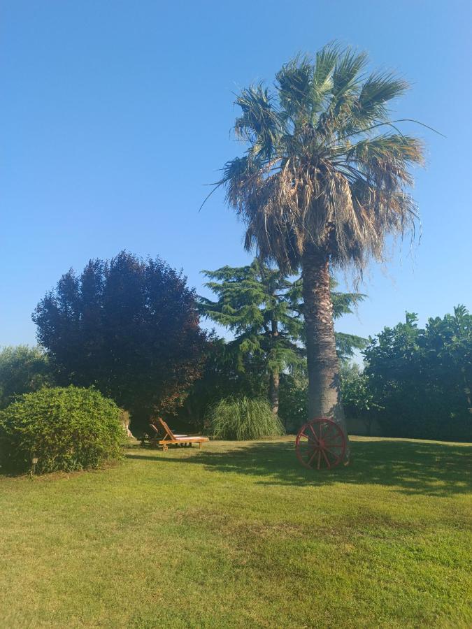 Apartments Karpetis a green paradise Psakoudia Buitenkant foto